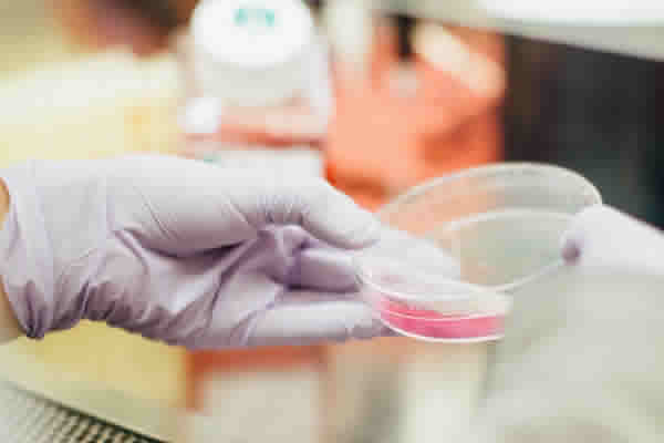 Confira Como Funciona a Cobertura de Exames de Laboratórios no Plano de Saúde!